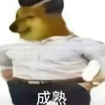 你好鸭